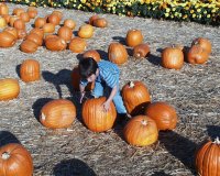 or08.jpg (15202 bytes)